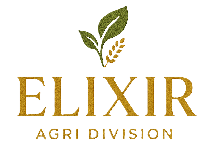 Elixir Logo
