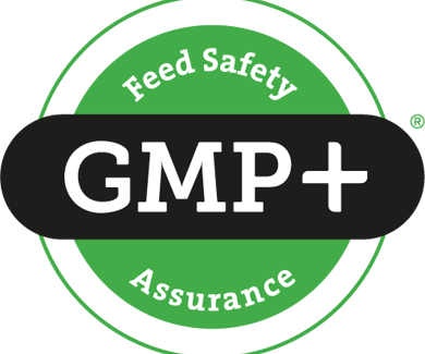 GMP